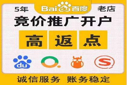 SEM服务公司助力品牌崛起案例